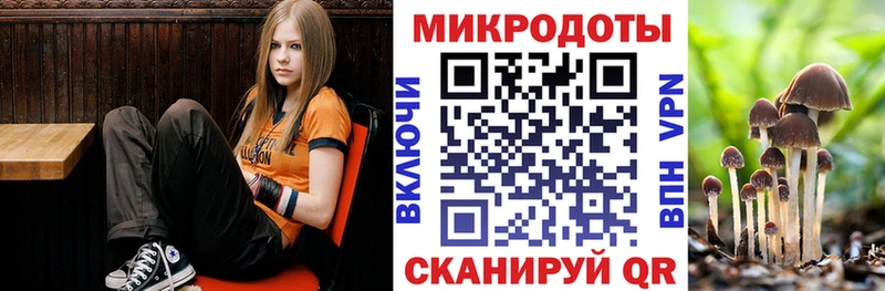 Псилоцибиновые грибы Cubensis  Иланский 